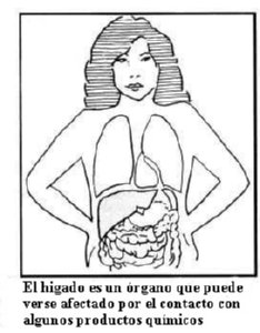 OIT  IMAGENES DIBUJOS JPG